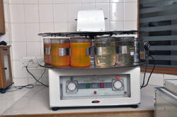 Automated tissue processors, 1 litre and 2 litre capacity which can process about 240 blocks a day.